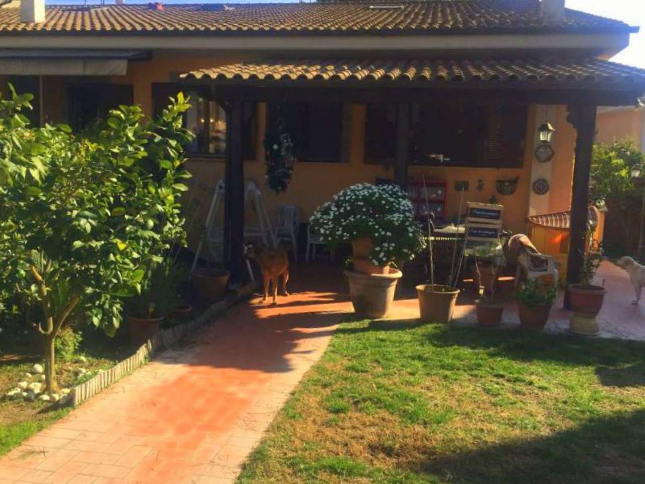  roma vendita quart: lido di ostia levante valva realty italia