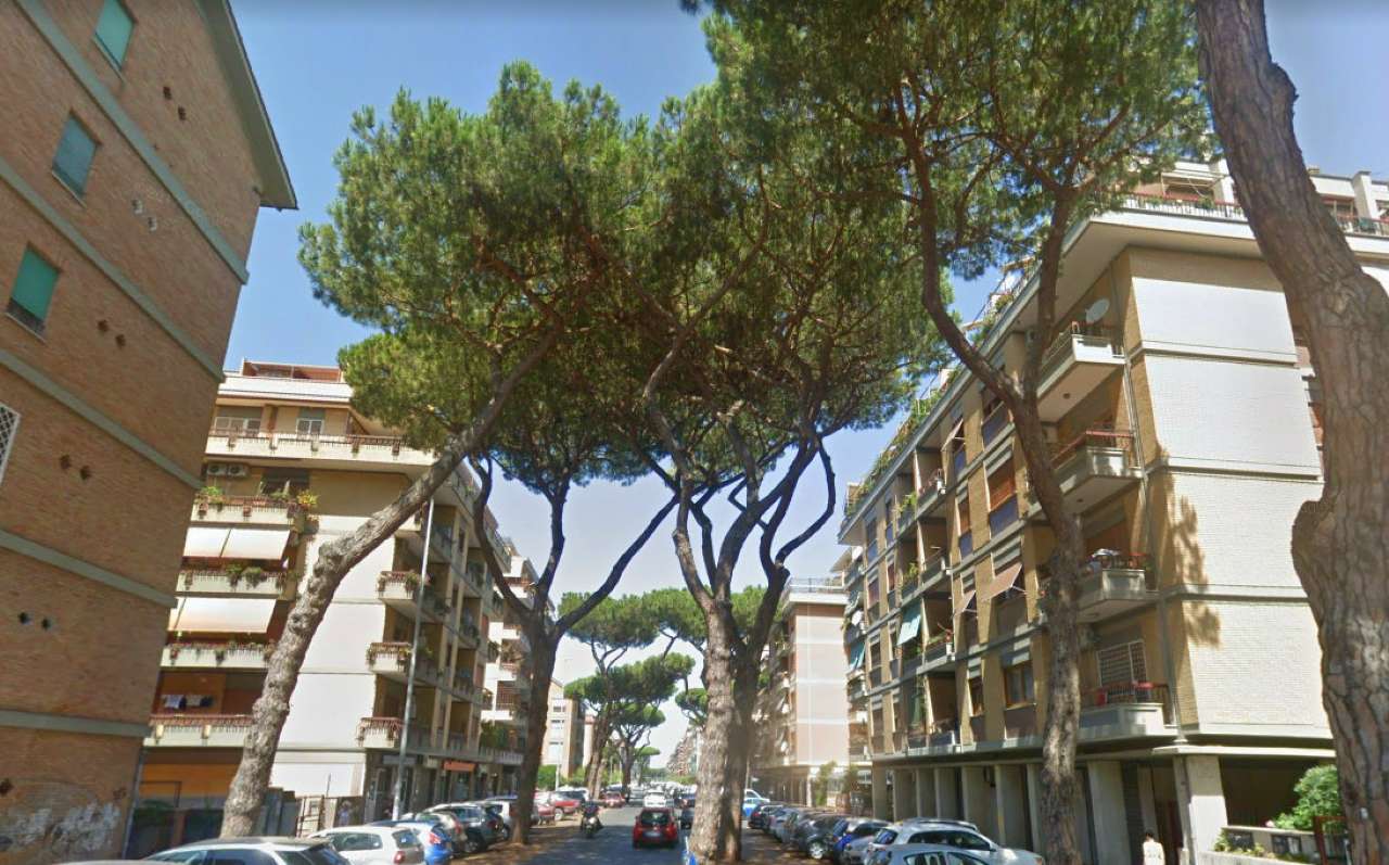 Appartamento ROMA vendita  LIDO DI OSTIA LEVANTE Piola Caselli Valva realty Italia