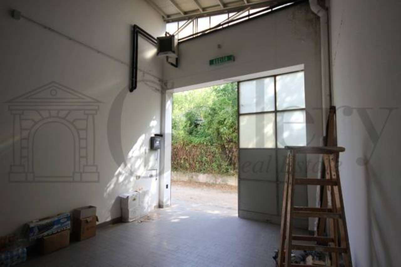 Capannoni (Tutti) TRIESTE vendita   CABOTO GALLERY SRL