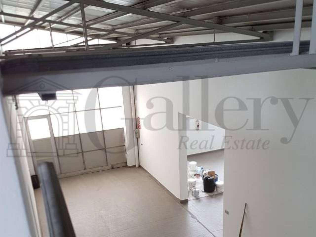 Capannoni (Tutti) TRIESTE vendita   CABOTO GALLERY SRL