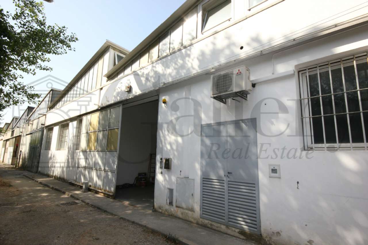 Capannoni (Tutti) TRIESTE affitto   caboto GALLERY SRL