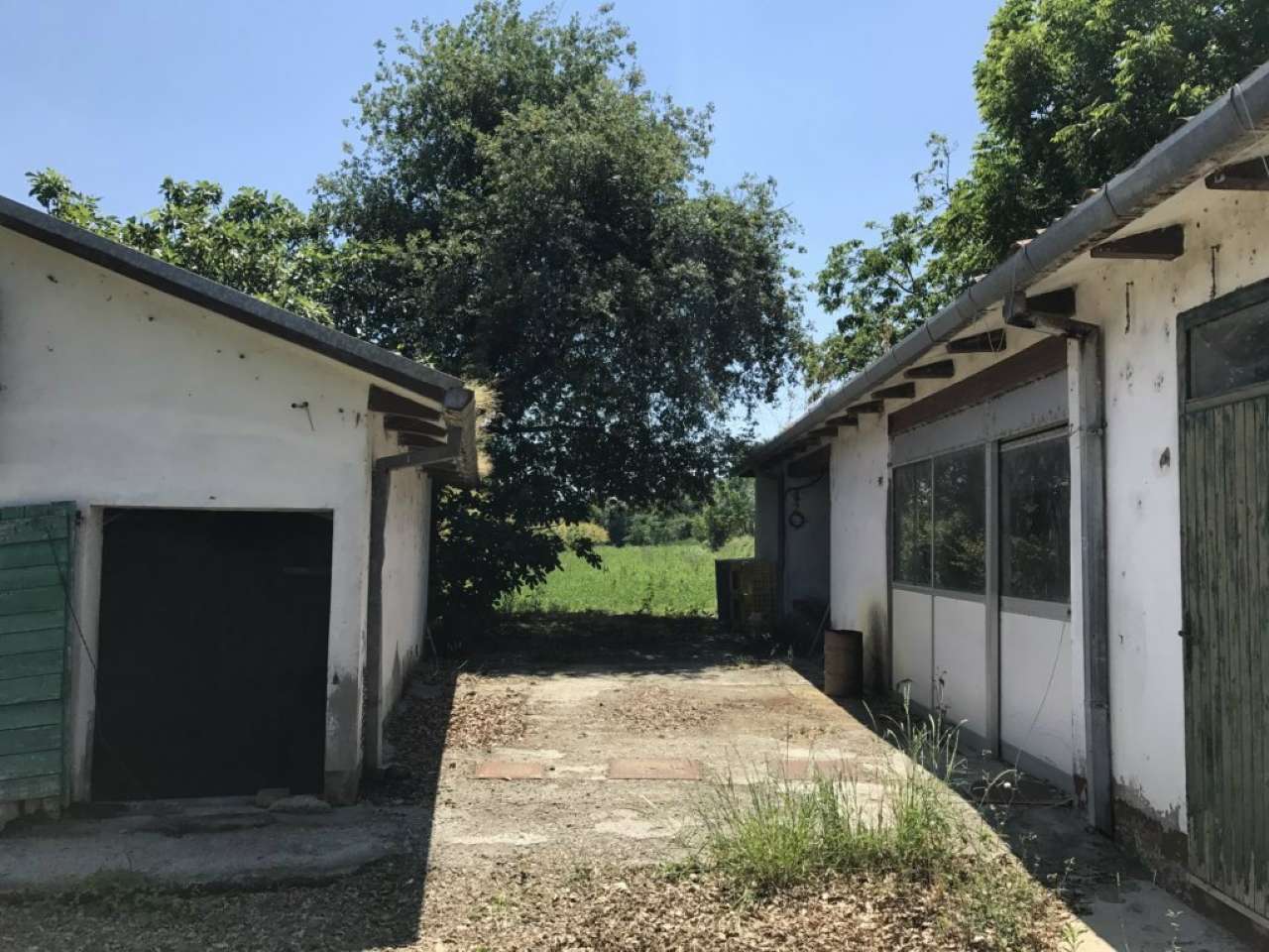 Villa Unifamiliare - Indipendente CESENA vendita    Quatarca Immobiliare snc di Giacomo Boschi & C.