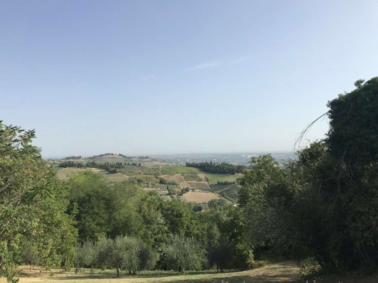 Rustico - Cascina CESENA vendita    Quatarca Immobiliare snc di Giacomo Boschi & C.