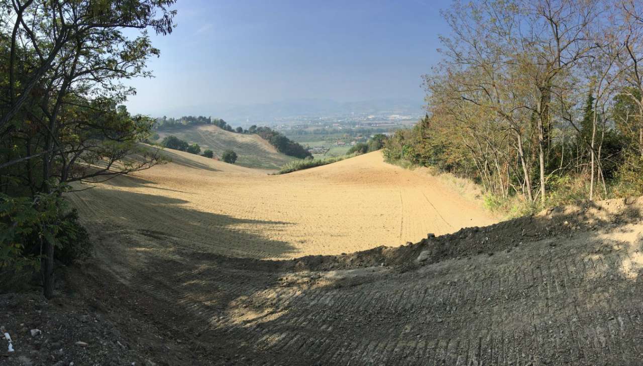 Rustico - Cascina CESENA vendita    Quatarca Immobiliare snc di Giacomo Boschi & C.