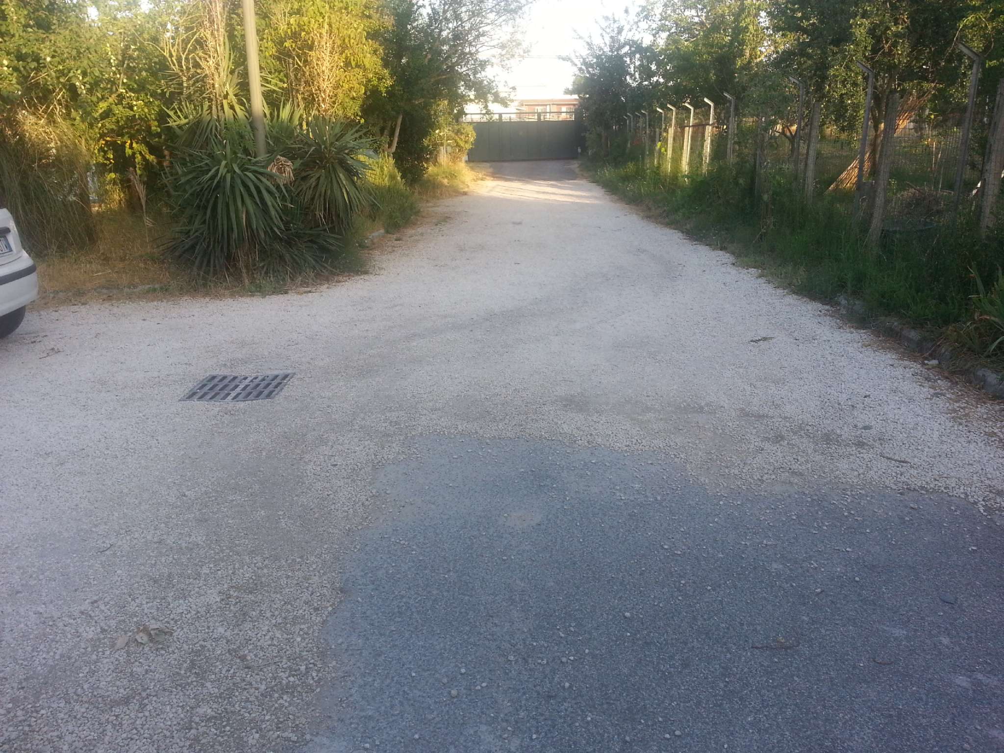 Capannoni (Tutti) ROMA affitto  AEROPORTO DI CIAMPINO (ZONA DELLA XI MUN.)  via acqua acetosa anagnina Matrix Servizi immobiliari Roma