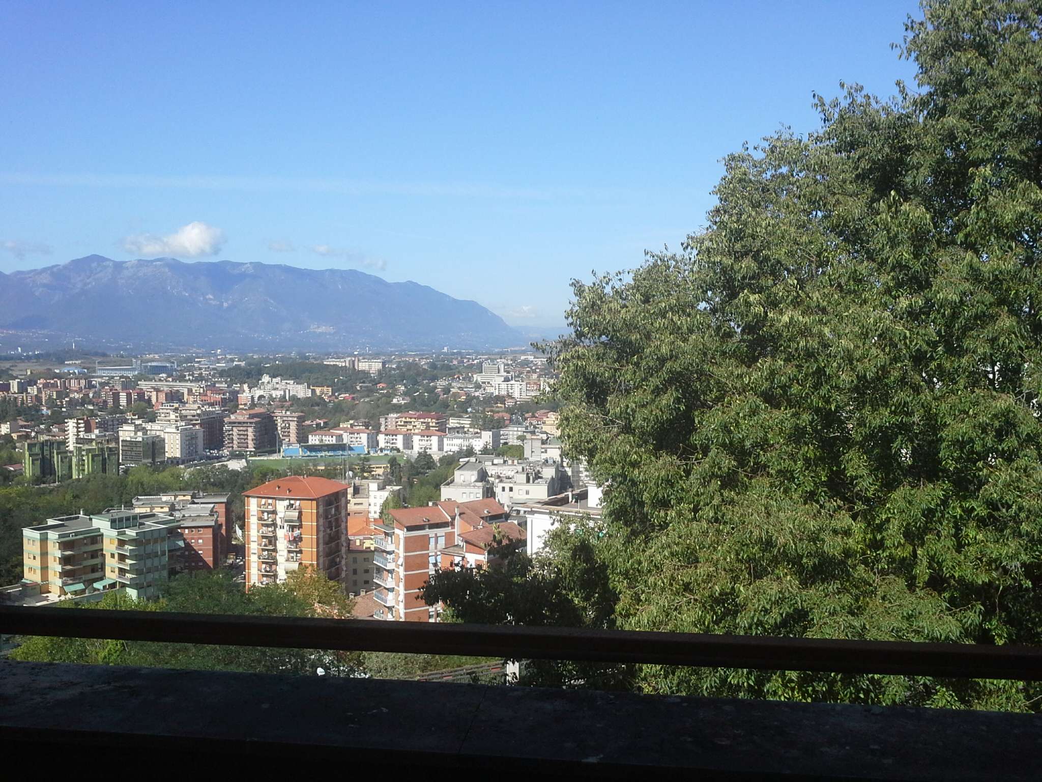  frosinone vendita quart:  immobiliare vittorio veneto s.r.l.