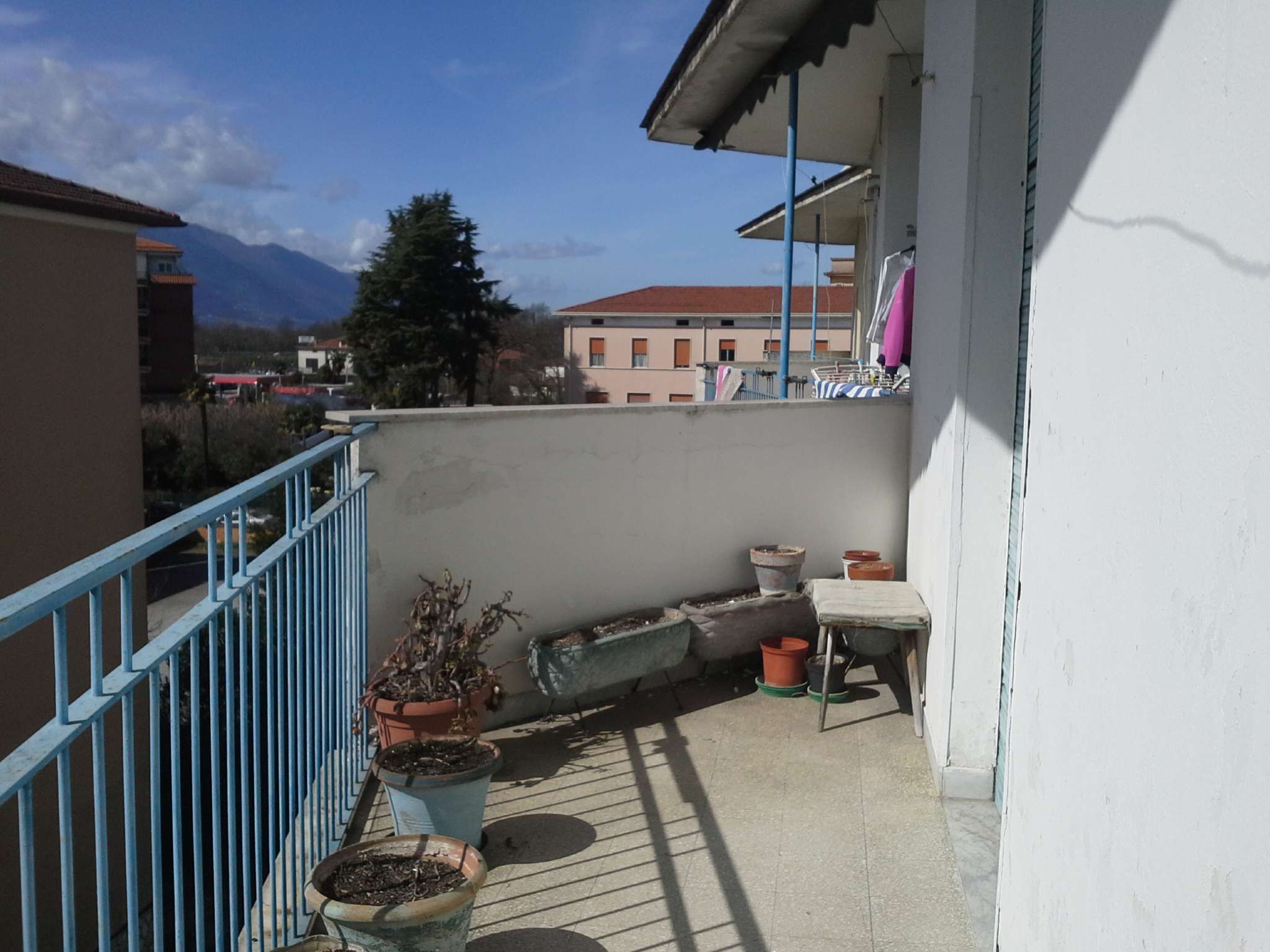 Appartamento FROSINONE vendita   Via De Matias Maria Beata IMMOBILIARE VITTORIO VENETO S.R.L.