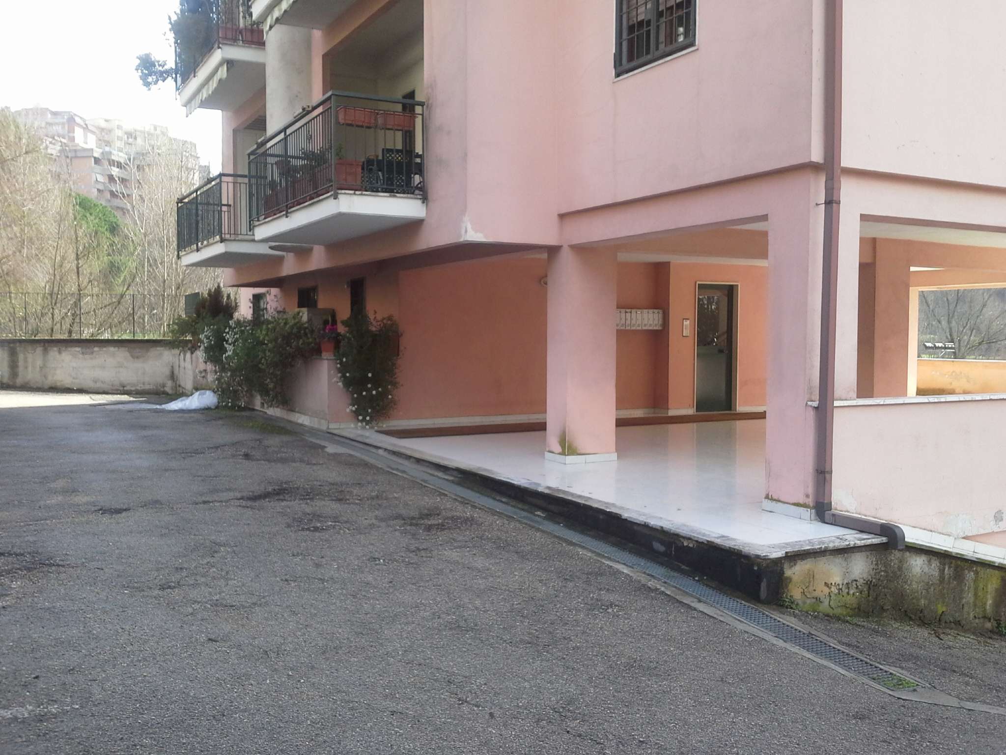 Appartamento FROSINONE vendita   Via Francesco Petrarca IMMOBILIARE VITTORIO VENETO S.R.L.