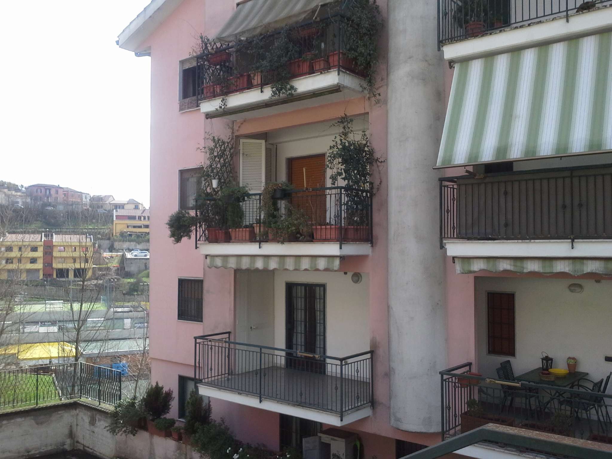 Appartamento FROSINONE vendita   Via Francesco Petrarca IMMOBILIARE VITTORIO VENETO S.R.L.