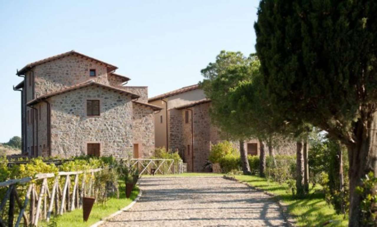 Rustico - Cascina SCANSANO vendita   Provinciale 159 Casa Chic Consulting srls