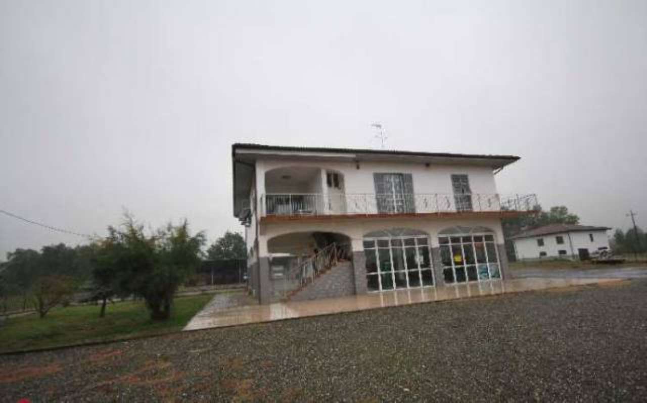 Villa BASALUZZO vendita   NOVI Immobiliare Pugliese S.N.C.