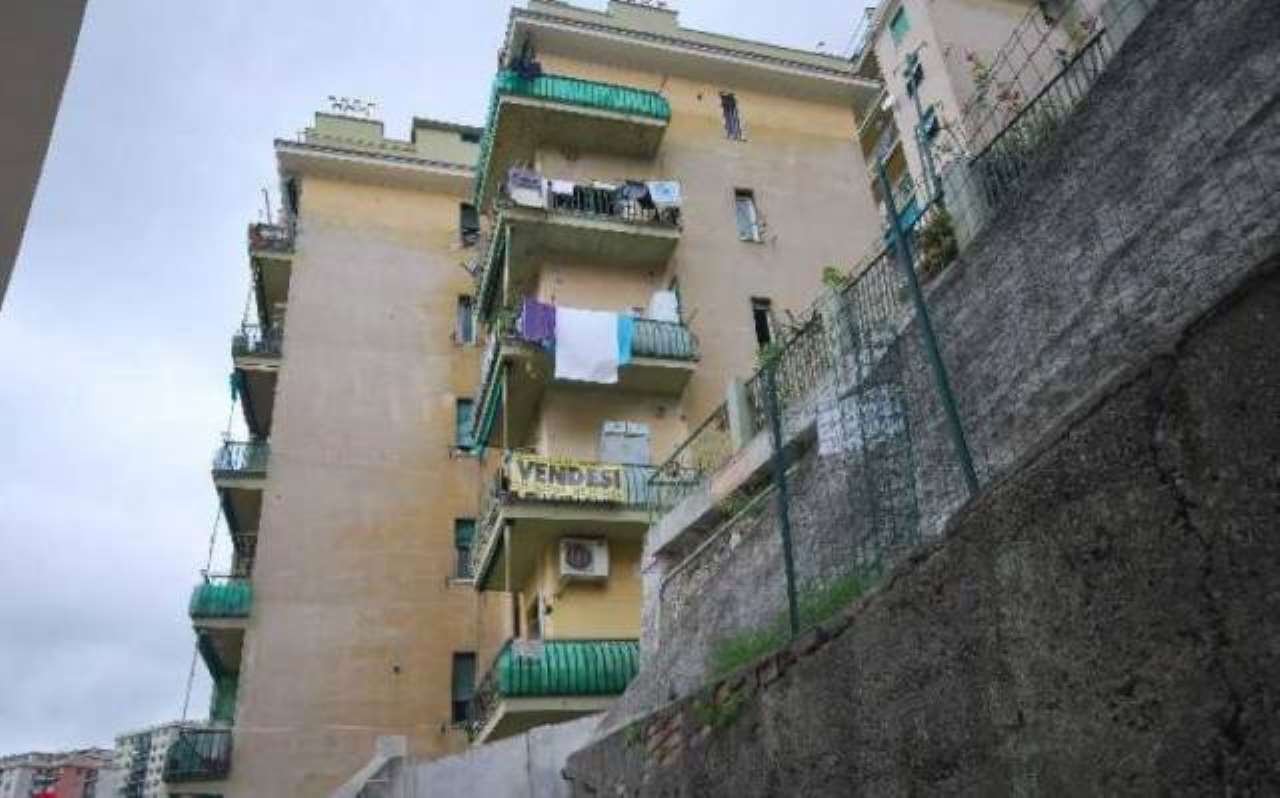  genova vendita quart:  immobiliare pugliese s.n.c.