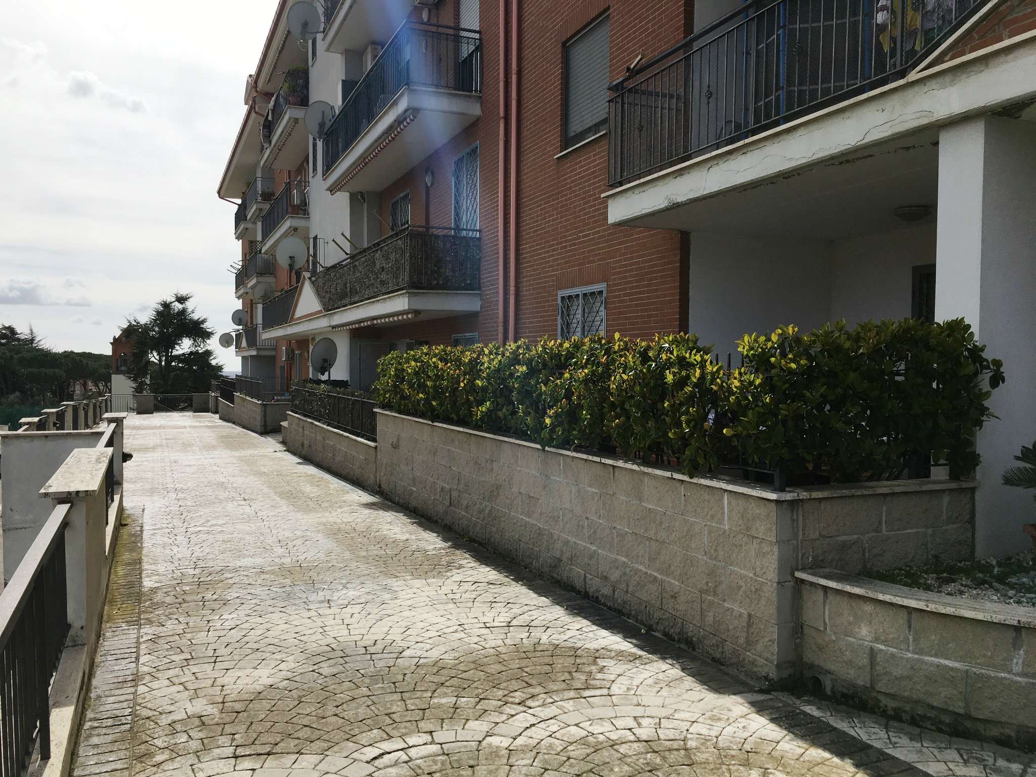 Appartamento ALBANO LAZIALE vendita   Spagna Immobiliare Trilussa