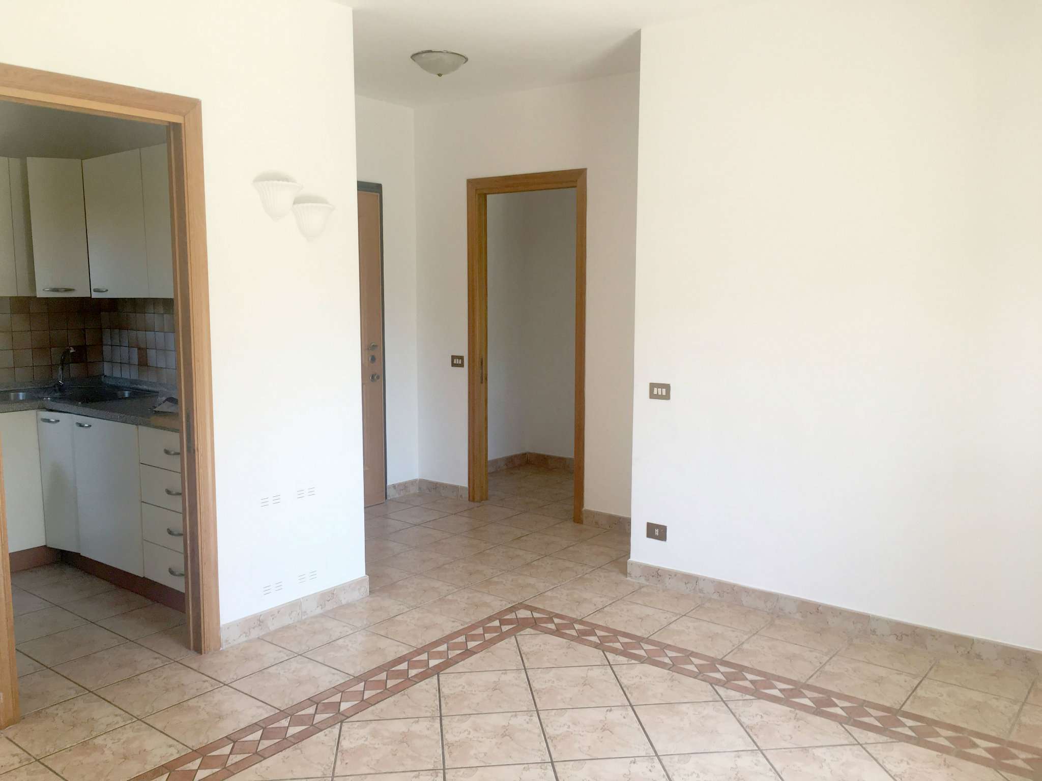 Appartamento GROTTAFERRATA vendita   S.Andrea Immobiliare Trilussa