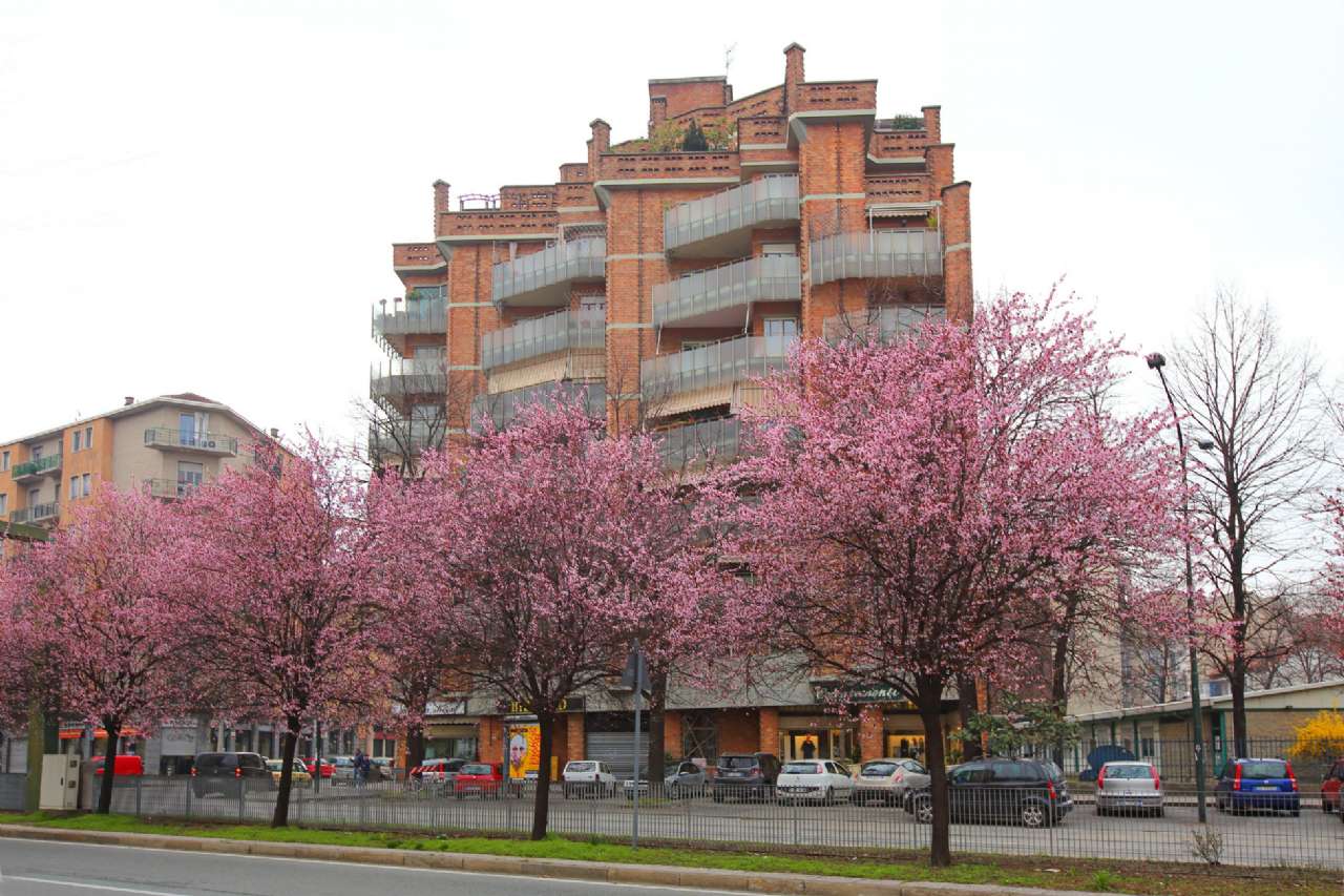 Appartamento TORINO vendita  SANTA RITA ORBASSANO TEMPOCASA - Affiliato Torino Santa Rita