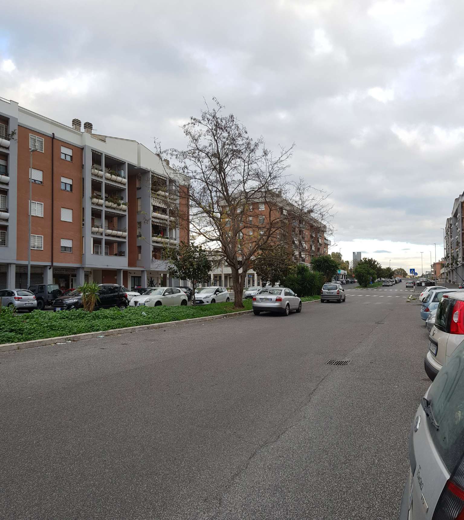 Negozio - Loc.Com. ROMA affitto  CASTEL DI GUIDO (ZONA DELLA XVI MUN.) Via Gaverina Casalotti Real Estate S.r.l.s. -Affiliato Gruppo Toscano