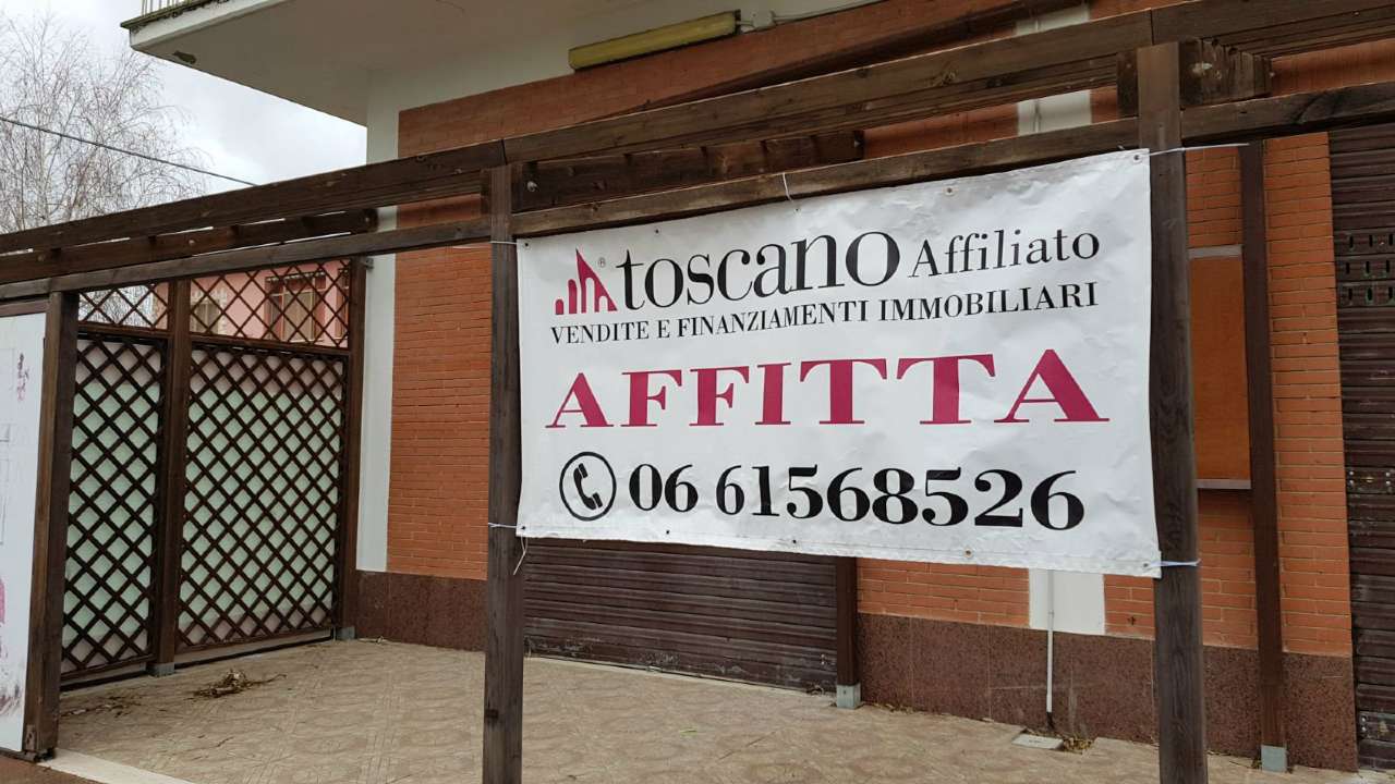  roma affitto quart: casalotti (zona della xix mun.) casalotti-real-estate-s.r.l.s.-affiliato-gruppo-toscano