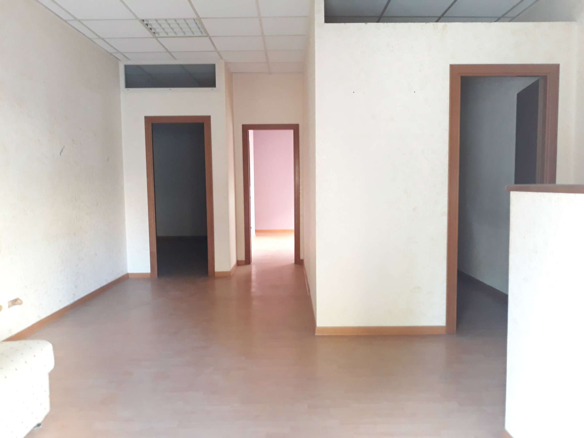  roma affitto quart: castel di guido (zona della xvi mun.) casalotti-real-estate-s.r.l.s.-affiliato-gruppo-toscano