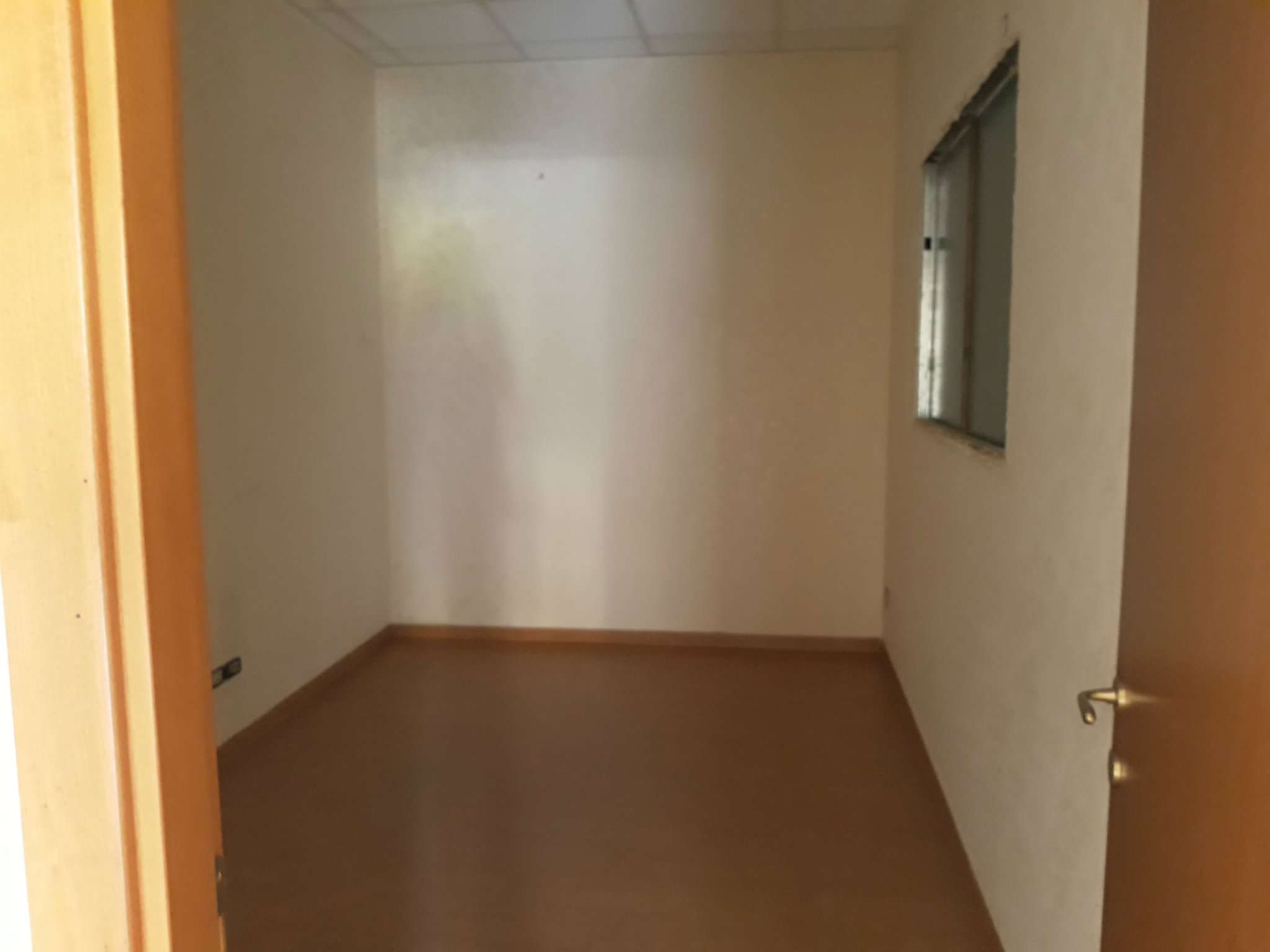 Negozio - Loc.Com. ROMA affitto  CASTEL DI GUIDO (ZONA DELLA XVI MUN.) Roccabruna Casalotti Real Estate S.r.l.s. -Affiliato Gruppo Toscano