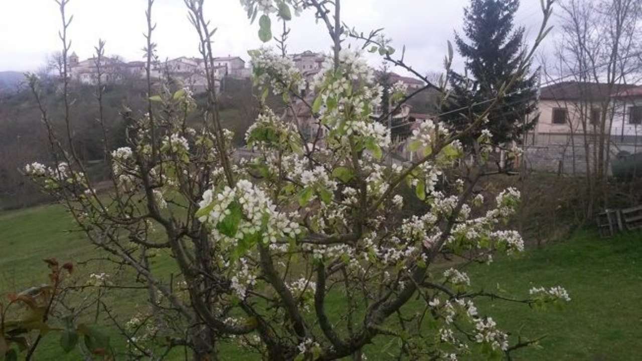 Villa Unifamiliare - Indipendente PESCOROCCHIANO vendita    Gregoriana Immobiliare