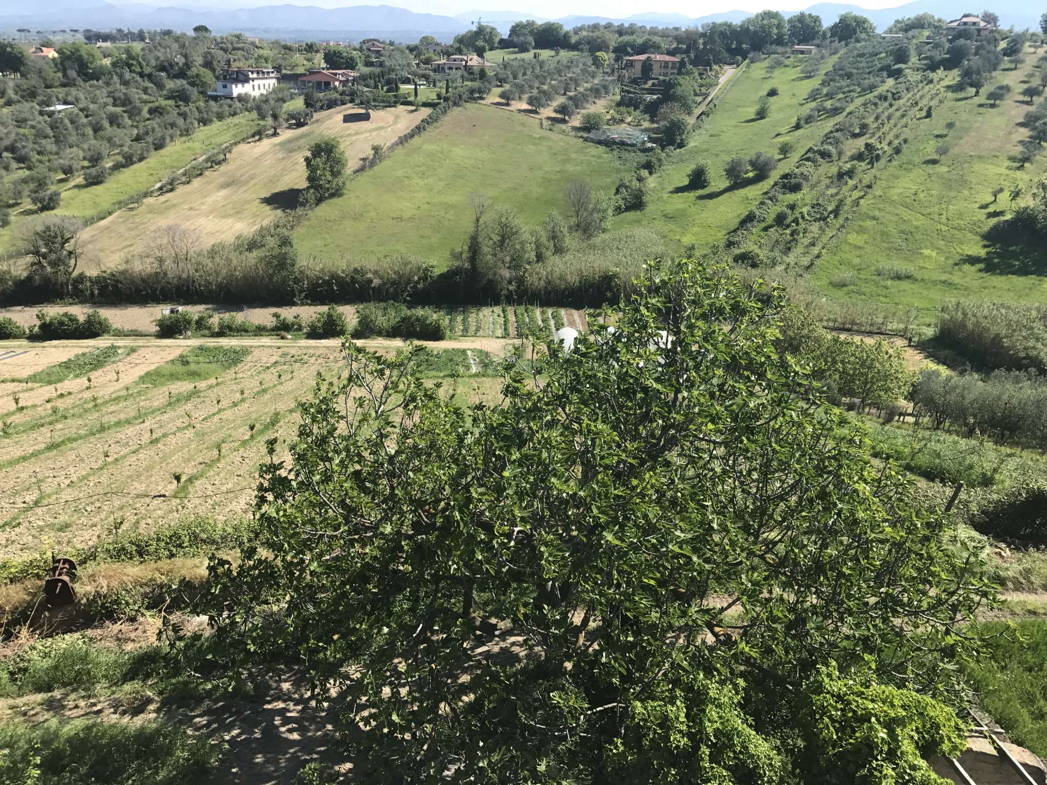 Villa Unifamiliare - Indipendente MONTEROTONDO vendita   della Dogana STAR DOMUS srl