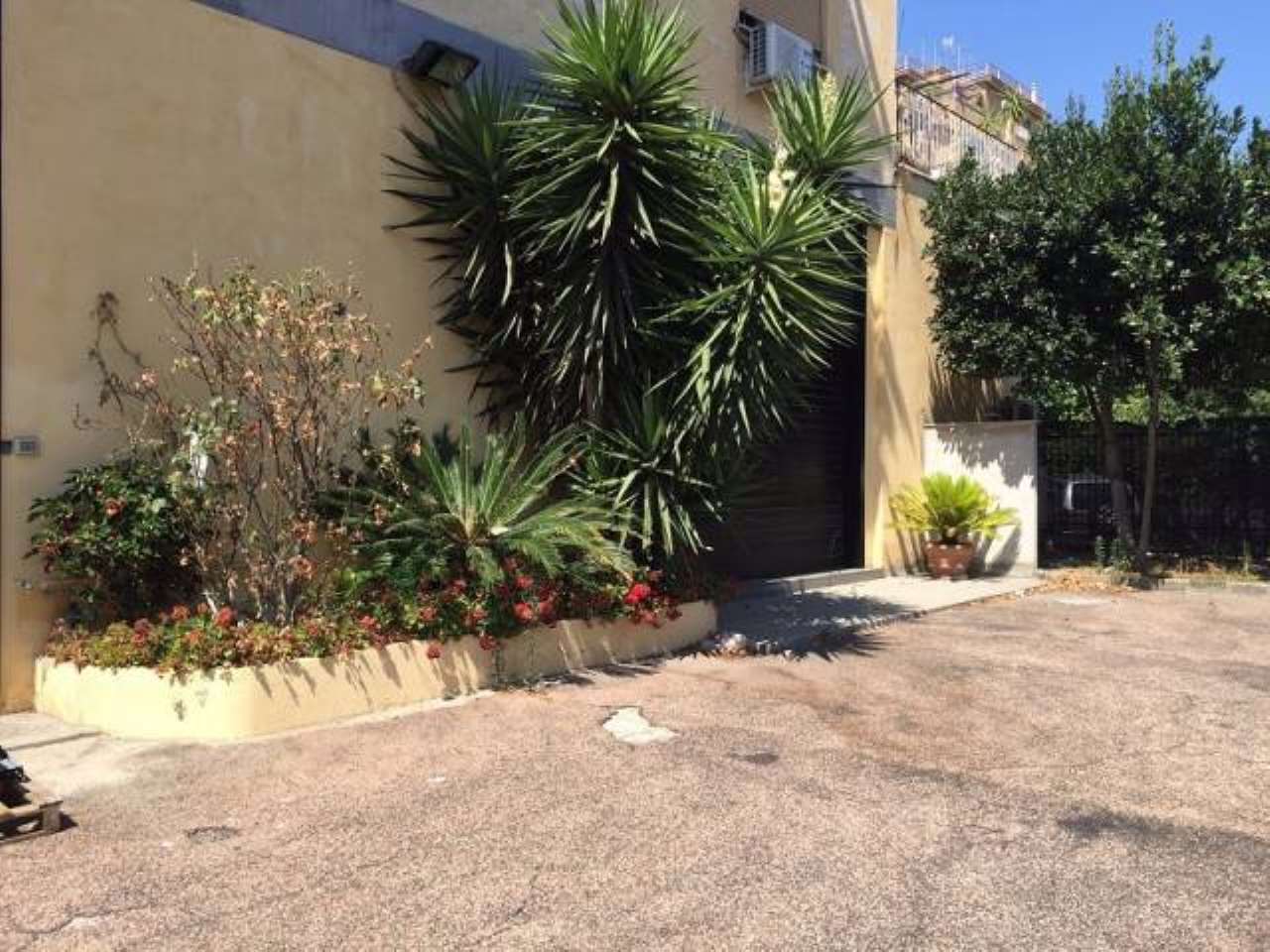 Ufficio - Loc.Com. ROMA vendita  TORREVECCHIA Lucio II Roma Immobiliare