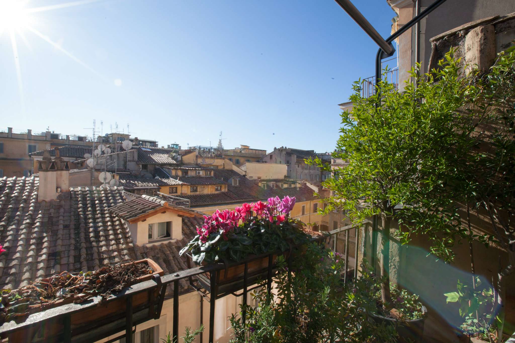 Attico ROMA vendita  Centro storico della Maddalena Roma Immobiliare