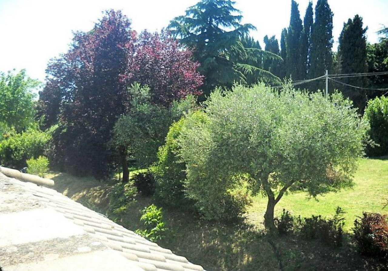 Villa Quadrifamiliare GROTTAFERRATA vendita   Coste della Molara Roma Immobiliare