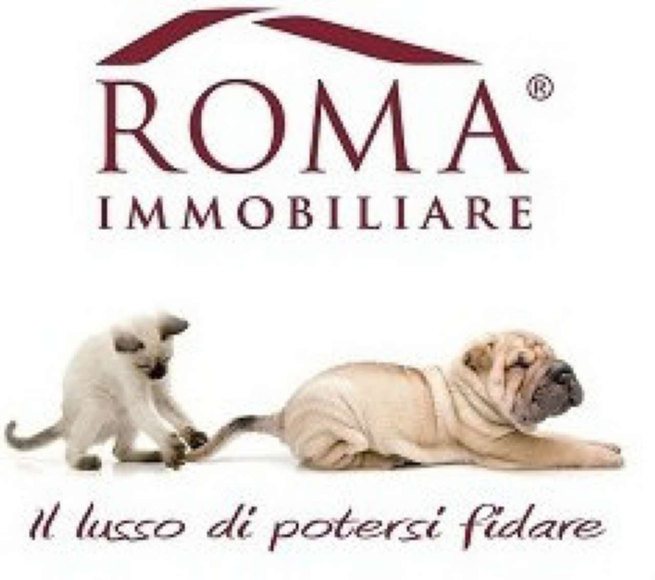 Negozio - Loc.Com. ROMA vendita  TRIESTE (II MUN.) Novara Roma Immobiliare