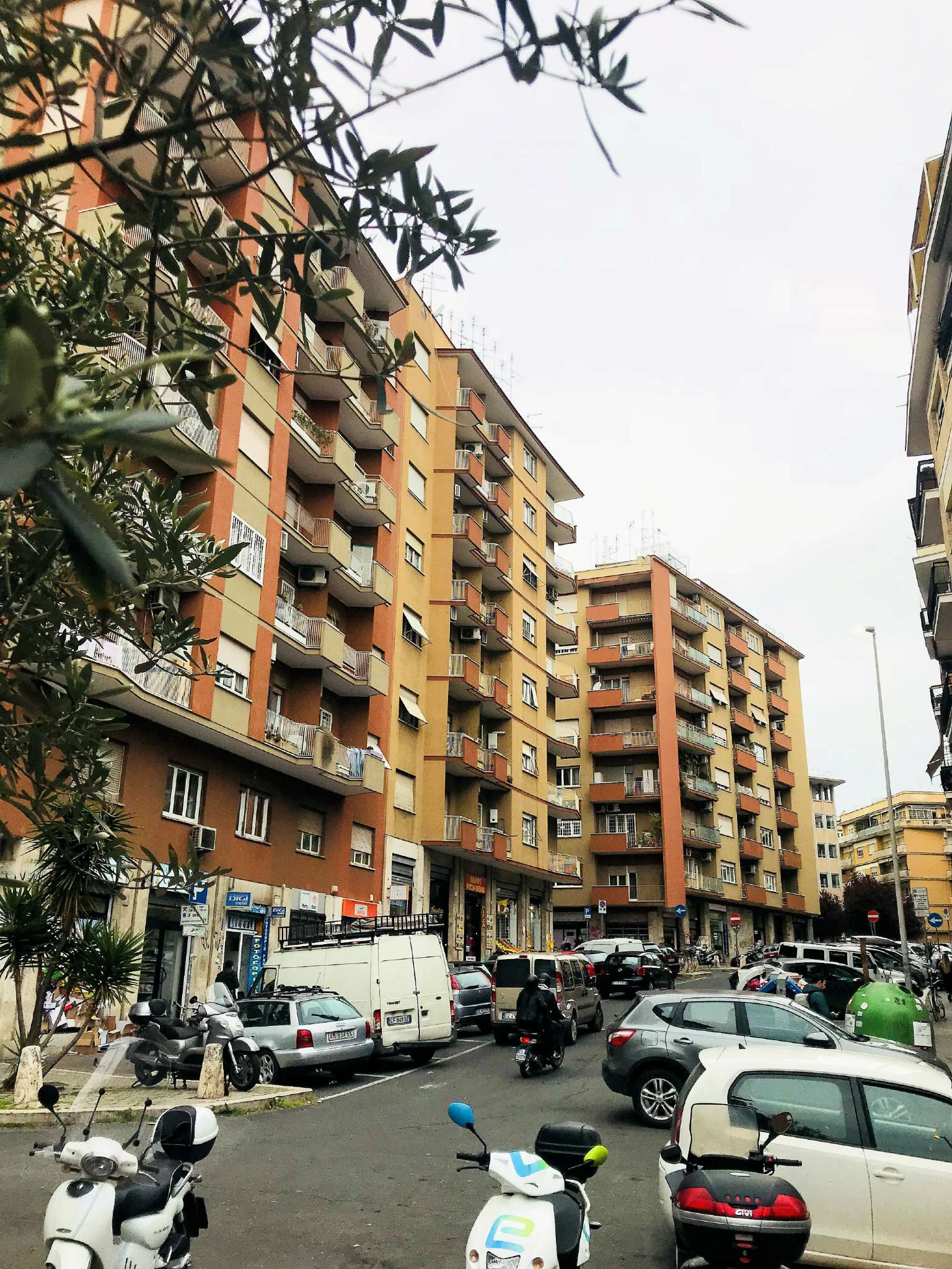 Appartamento ROMA vendita  PRATI cipro Roma Immobiliare