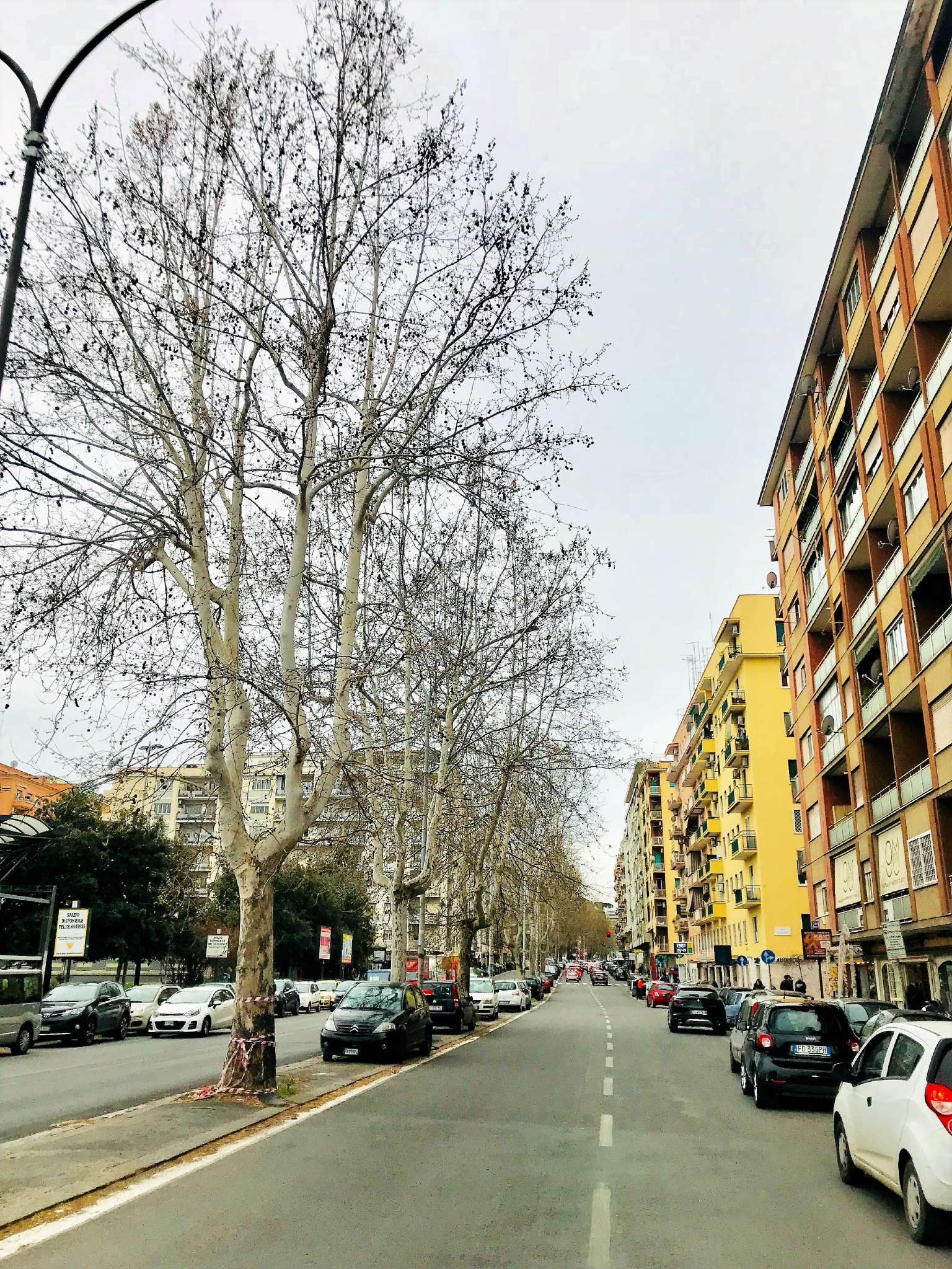 Appartamento ROMA vendita  PRATI cipro Roma Immobiliare