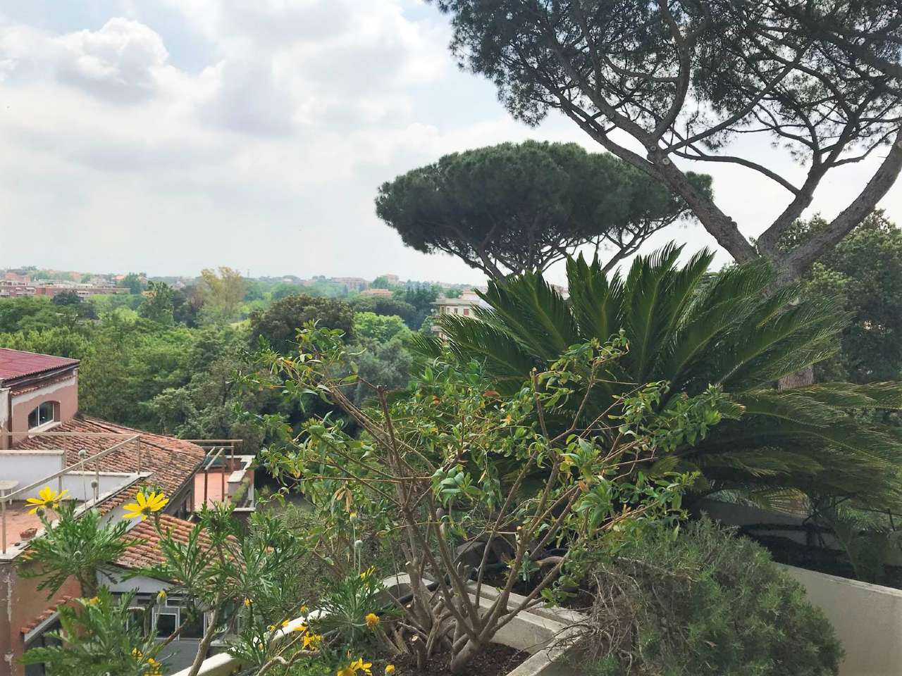 Appartamento ROMA vendita  TALENTI Villa di Faonte Roma Immobiliare