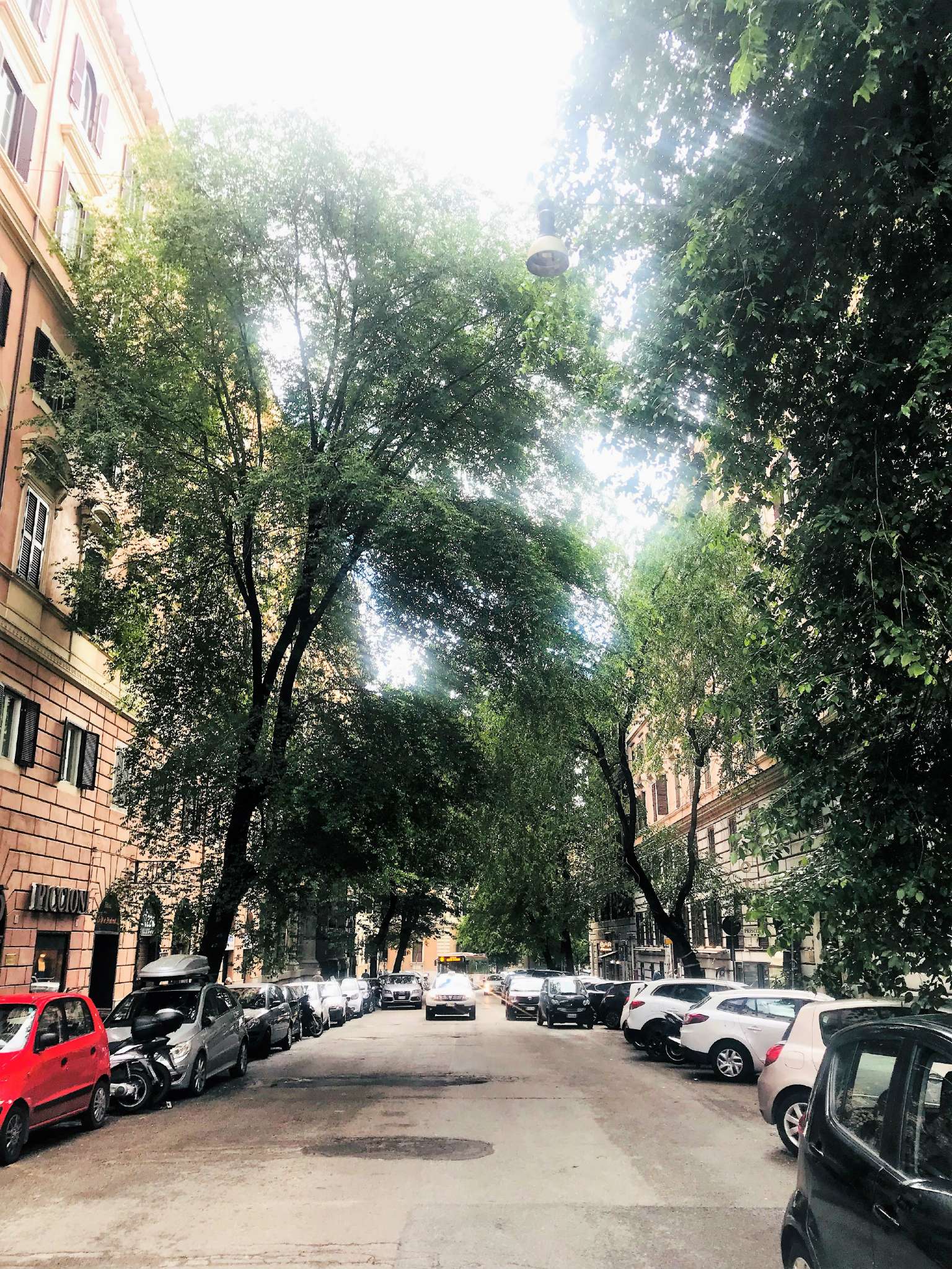 Appartamento ROMA vendita  Centro storico Boncompagni Roma Immobiliare