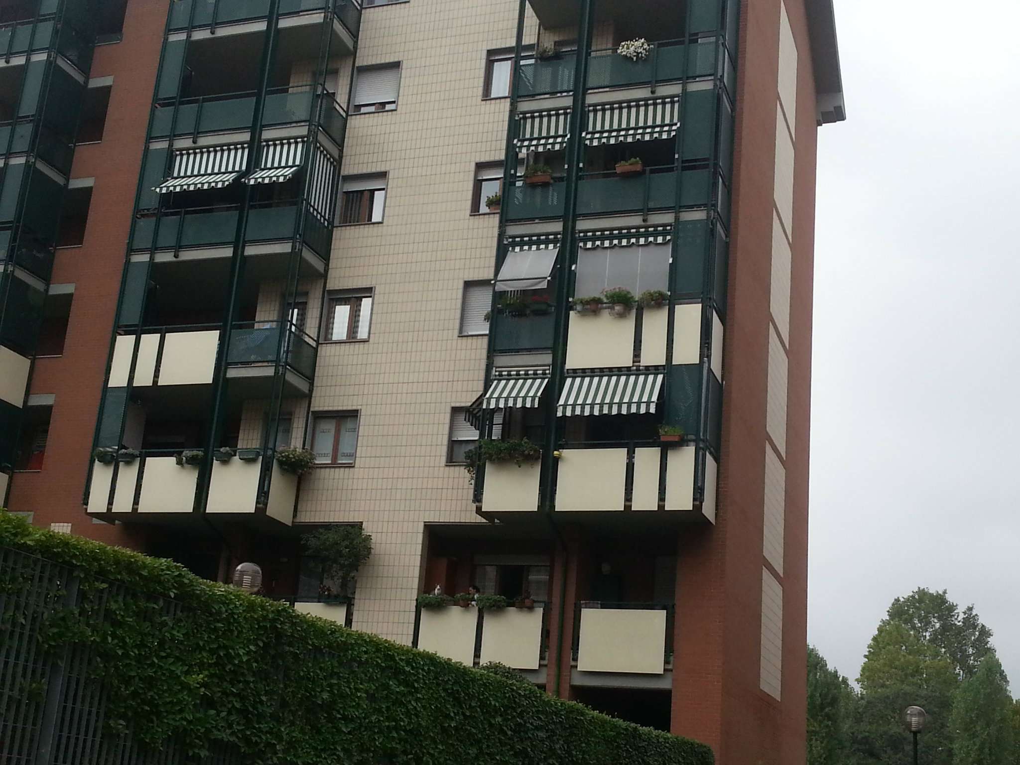 Appartamento TORINO vendita  MIRAFIORI SUD Tazzoli MOLINO VALERIO