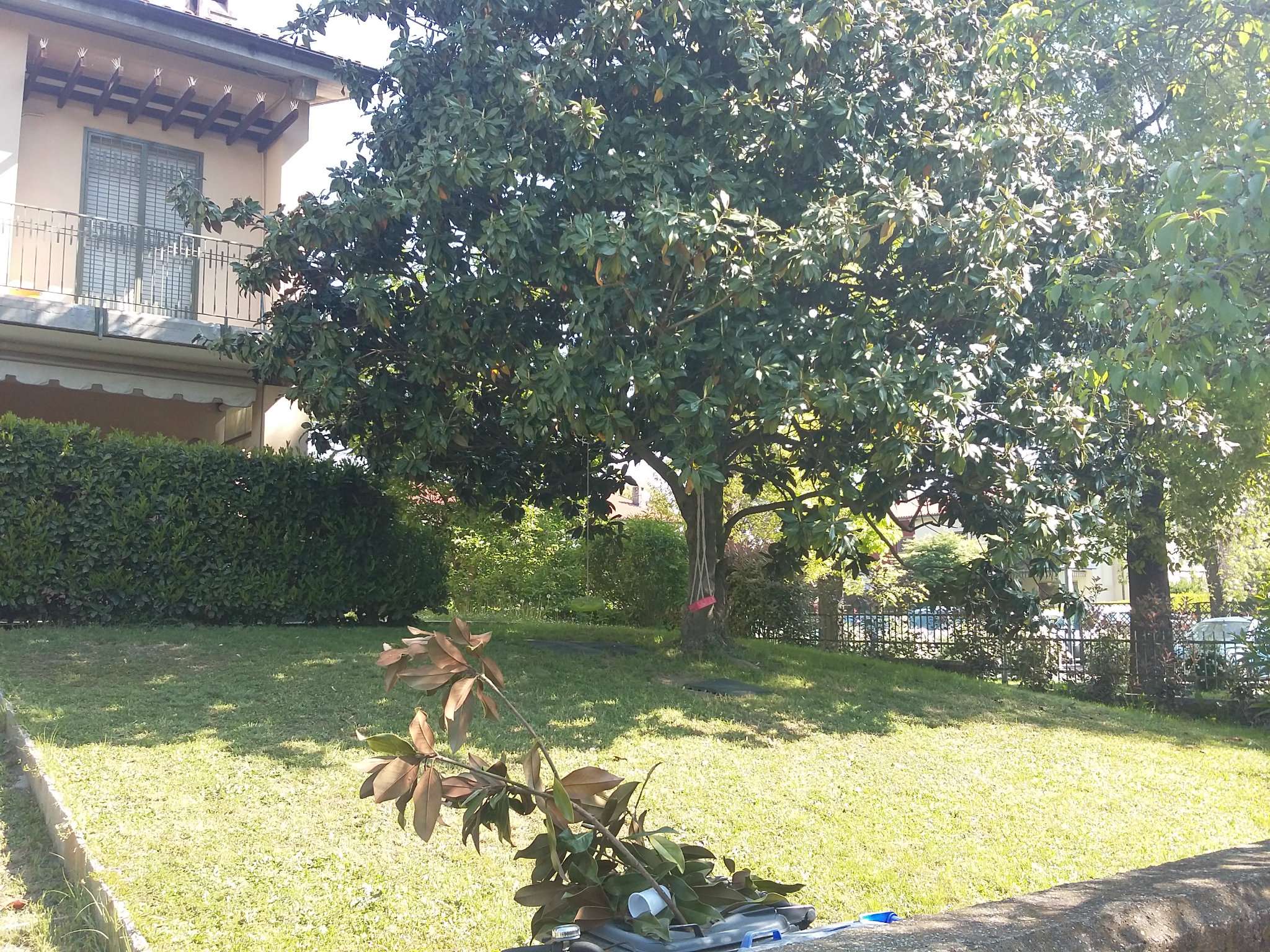Villa Unifamiliare - Indipendente VINOVO vendita   Piemonte MOLINO VALERIO