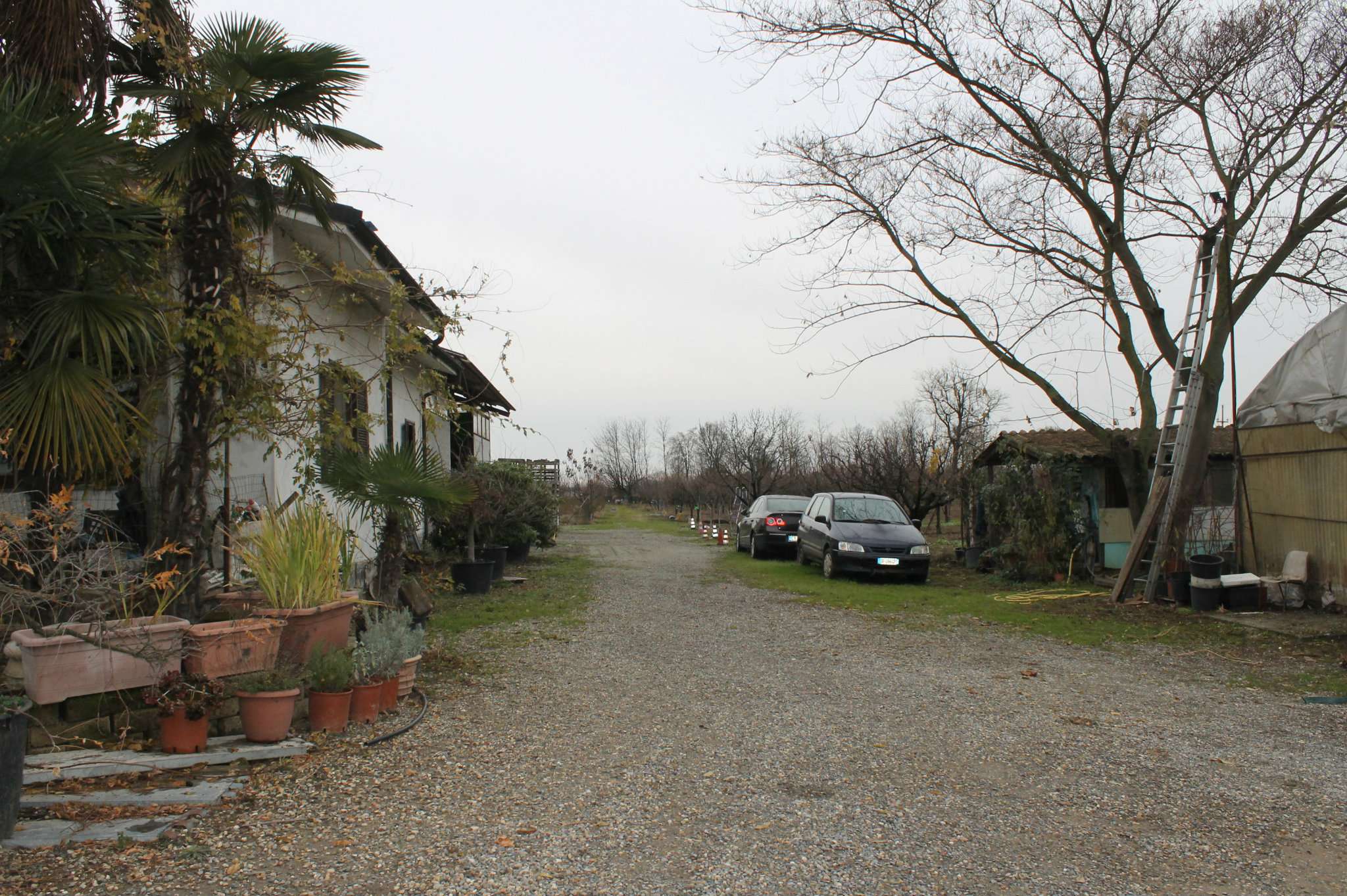 Villa Unifamiliare - Indipendente VILLANOVA D