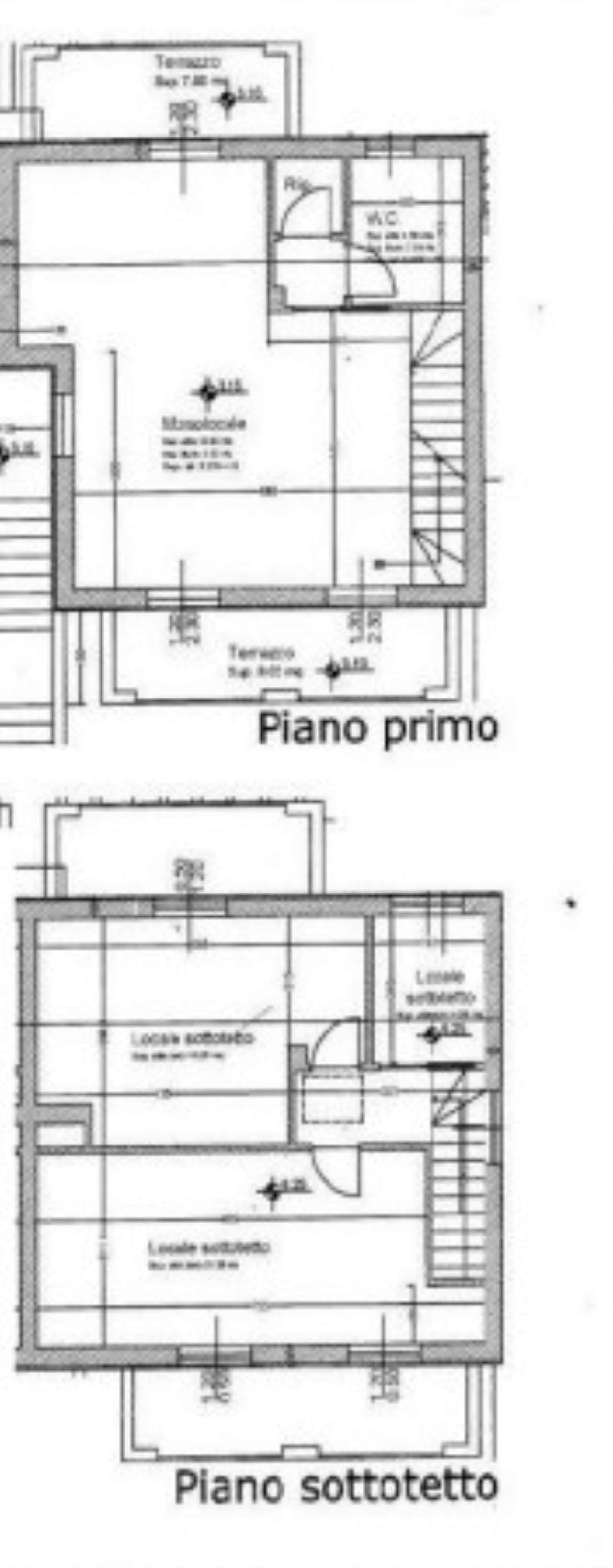 Appartamento CARRARA vendita   Pellicara AGENZIA IMMOBILIARE TANIA