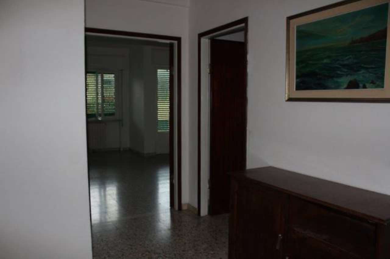 Appartamento CARRARA vendita   20 Settembre AGENZIA IMMOBILIARE TANIA