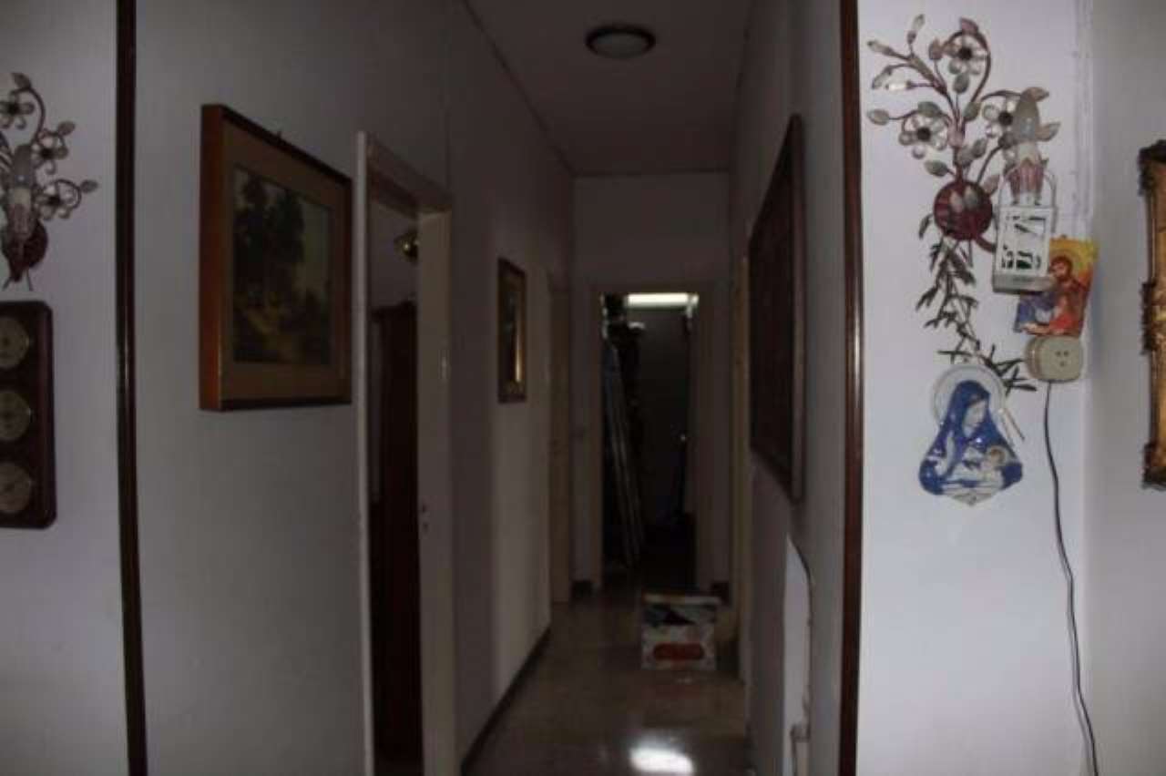 Appartamento CARRARA vendita   XX Settembre AGENZIA IMMOBILIARE TANIA