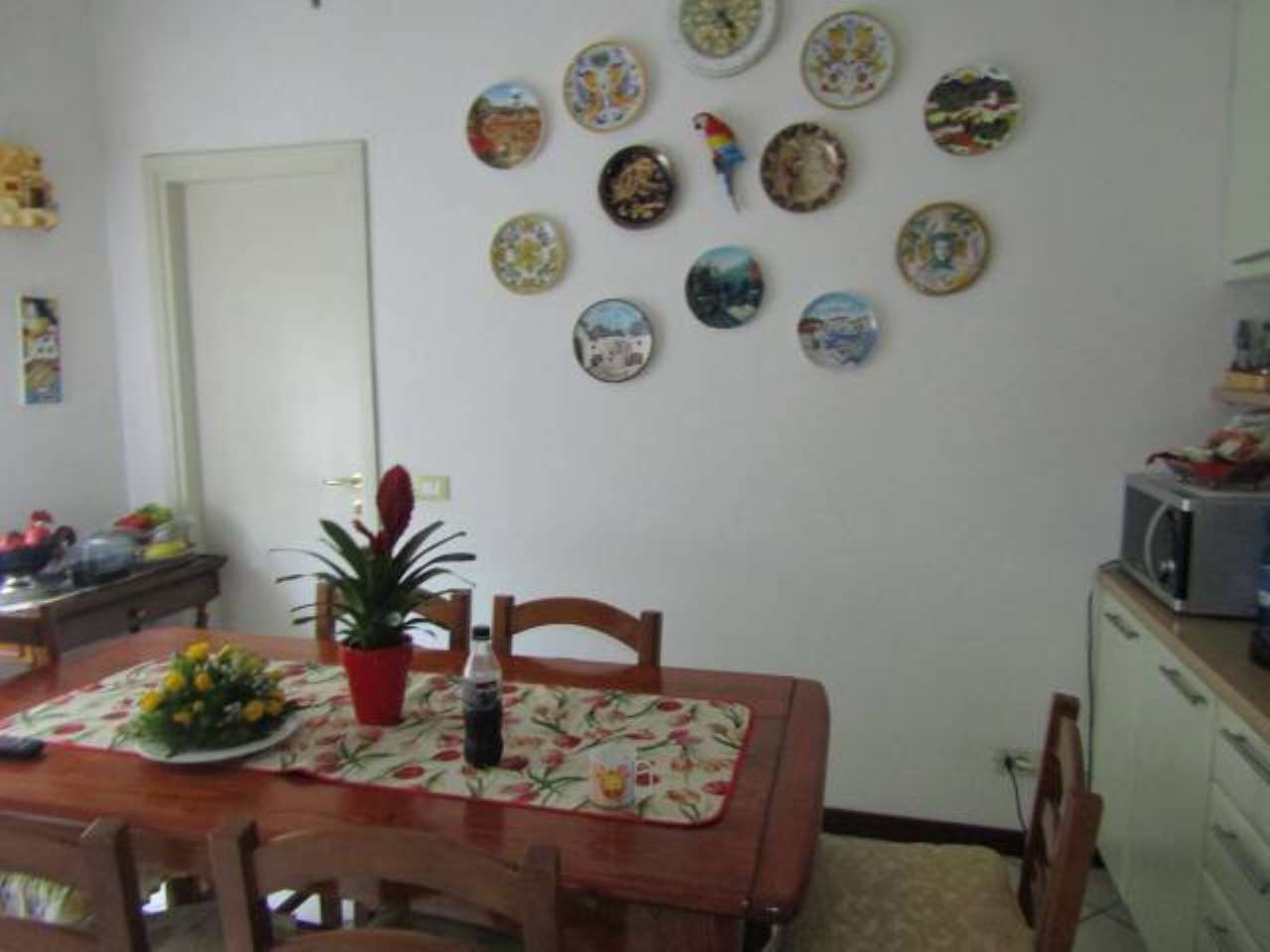 Appartamento CARRARA vendita   XX Settembre AGENZIA IMMOBILIARE TANIA