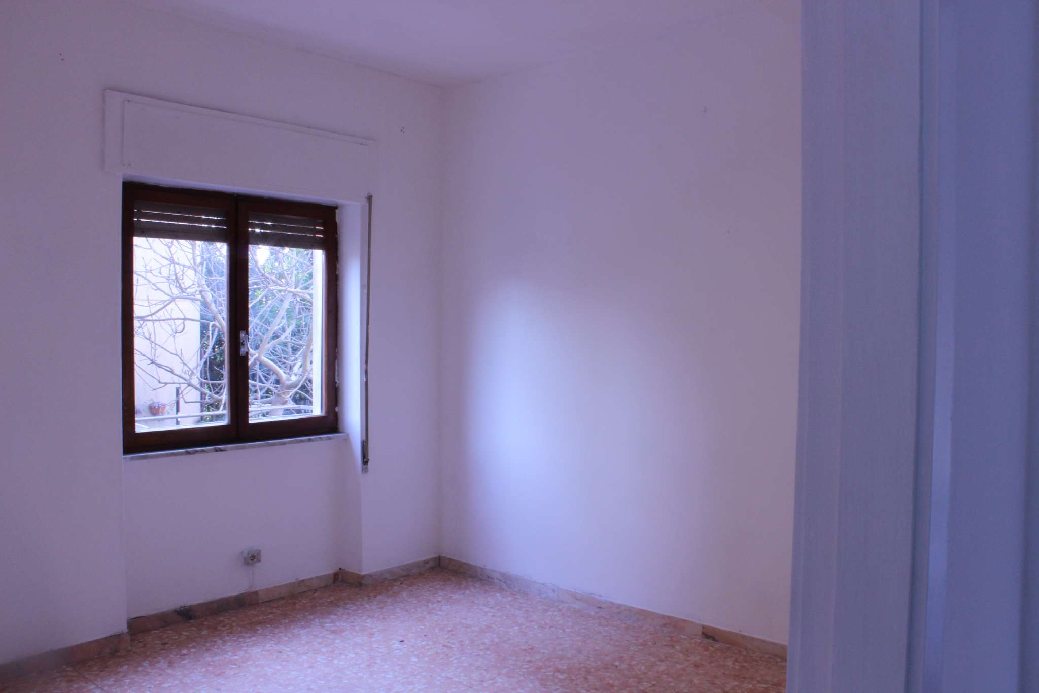 Appartamento CARRARA vendita   pelucara AGENZIA IMMOBILIARE TANIA