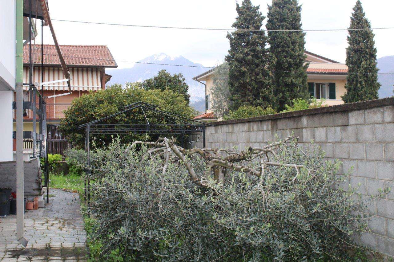 Villa Unifamiliare - Indipendente CARRARA vendita   farini AGENZIA IMMOBILIARE TANIA