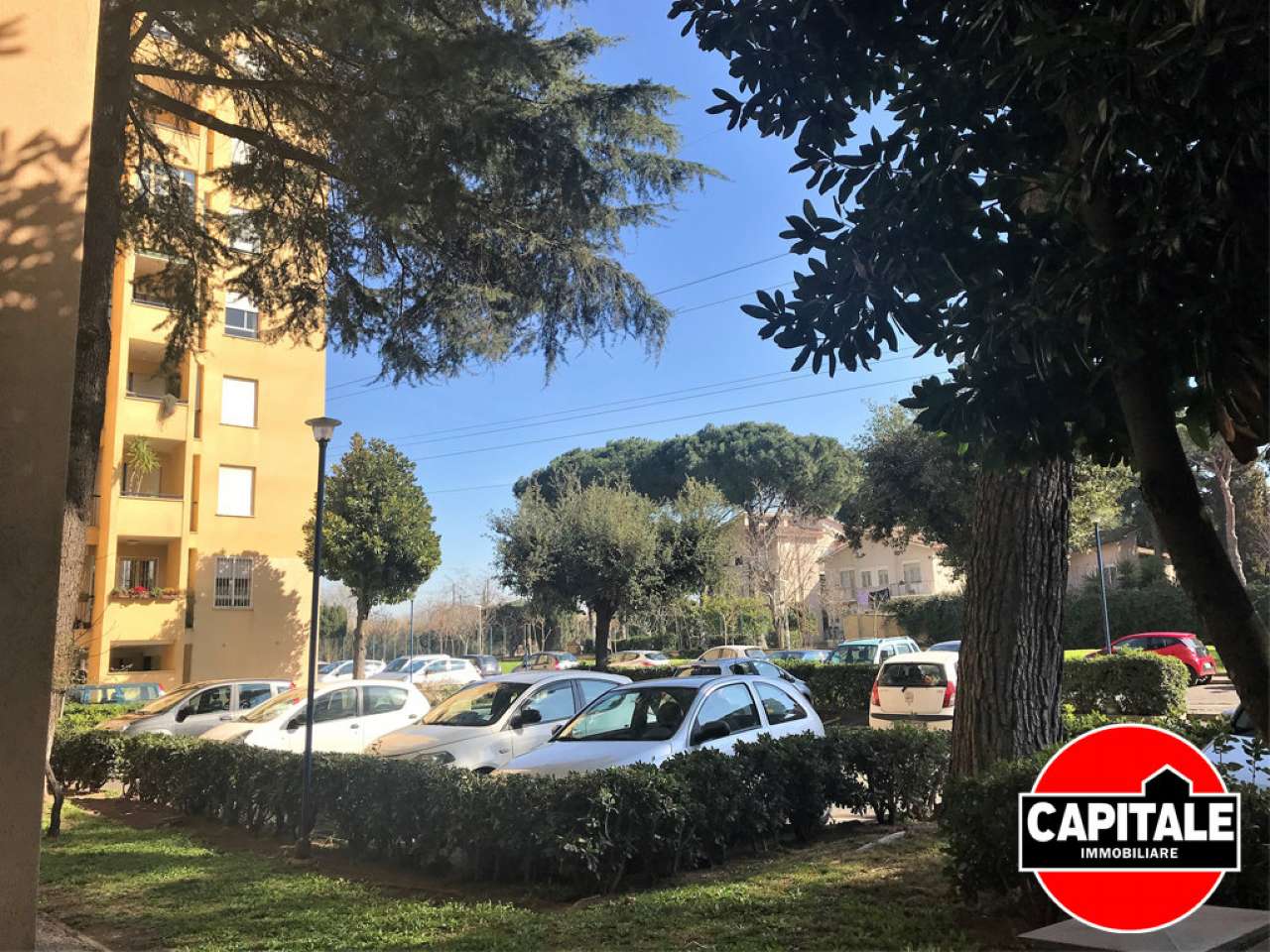 Appartamento ROMA vendita  TUSCOLANO (VI MUN.) bova CAPITALE Immobiliare