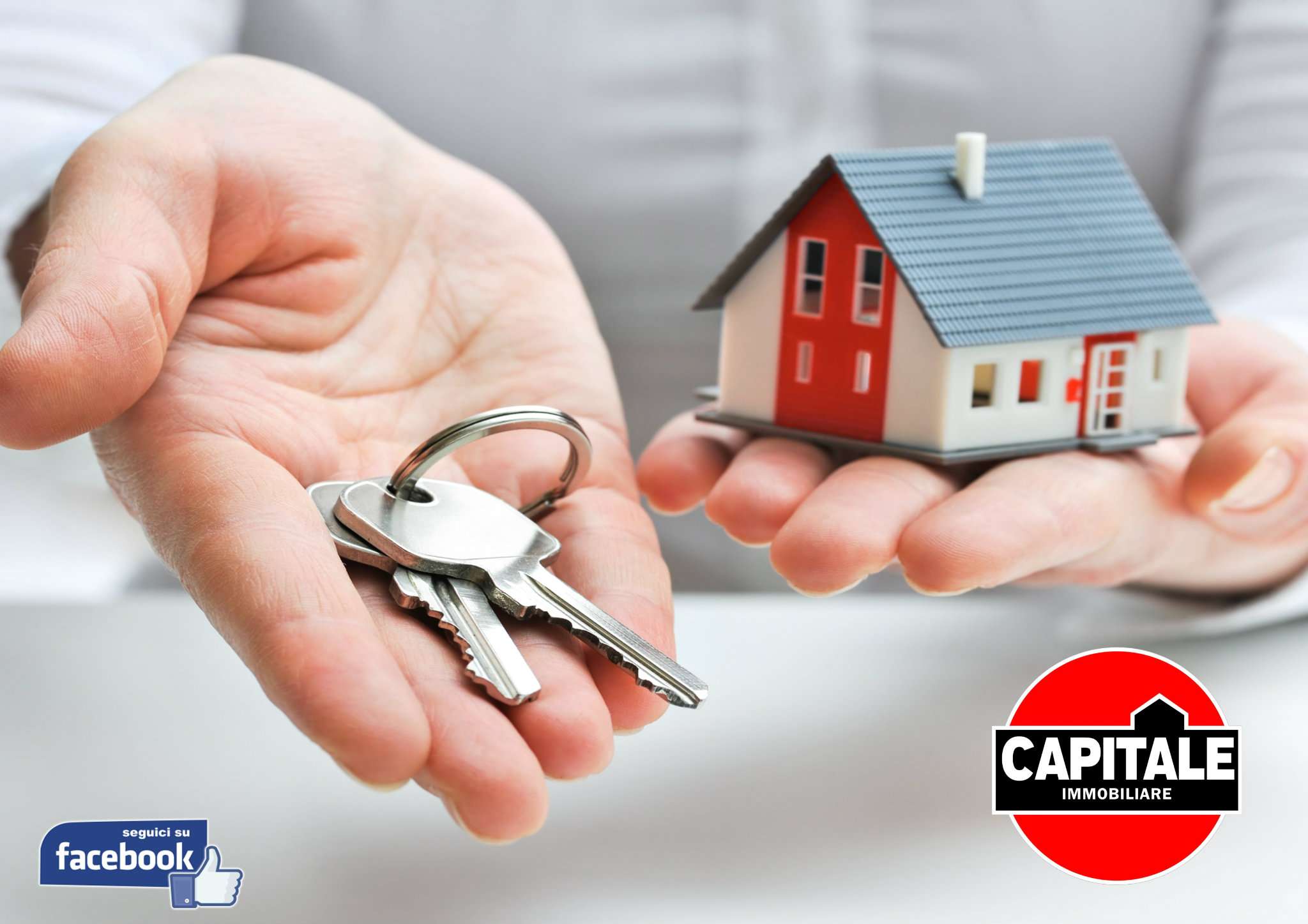 Appartamento ARZACHENA affitto    CAPITALE Immobiliare