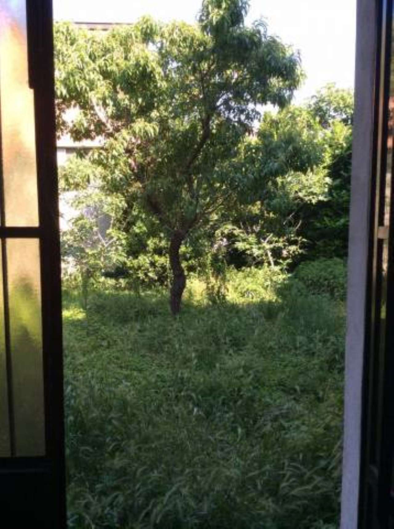 Villa Unifamiliare - Indipendente CORTEMAGGIORE vendita    ARDA CASE S.R.L.