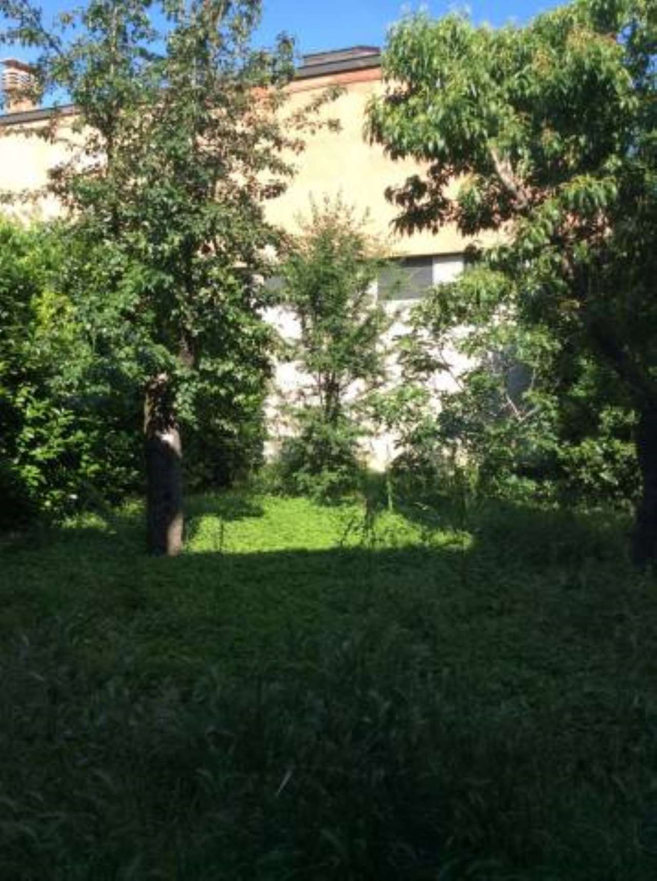 Villa Unifamiliare - Indipendente CORTEMAGGIORE vendita    ARDA CASE S.R.L.