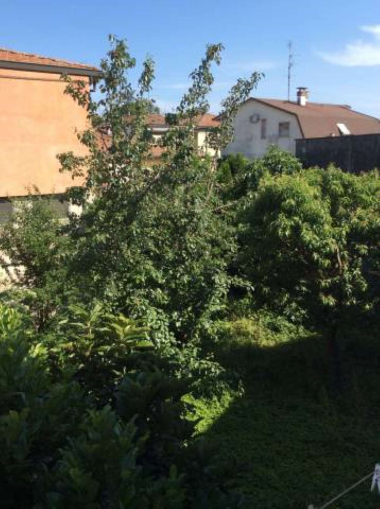 Villa Unifamiliare - Indipendente CORTEMAGGIORE vendita    ARDA CASE S.R.L.