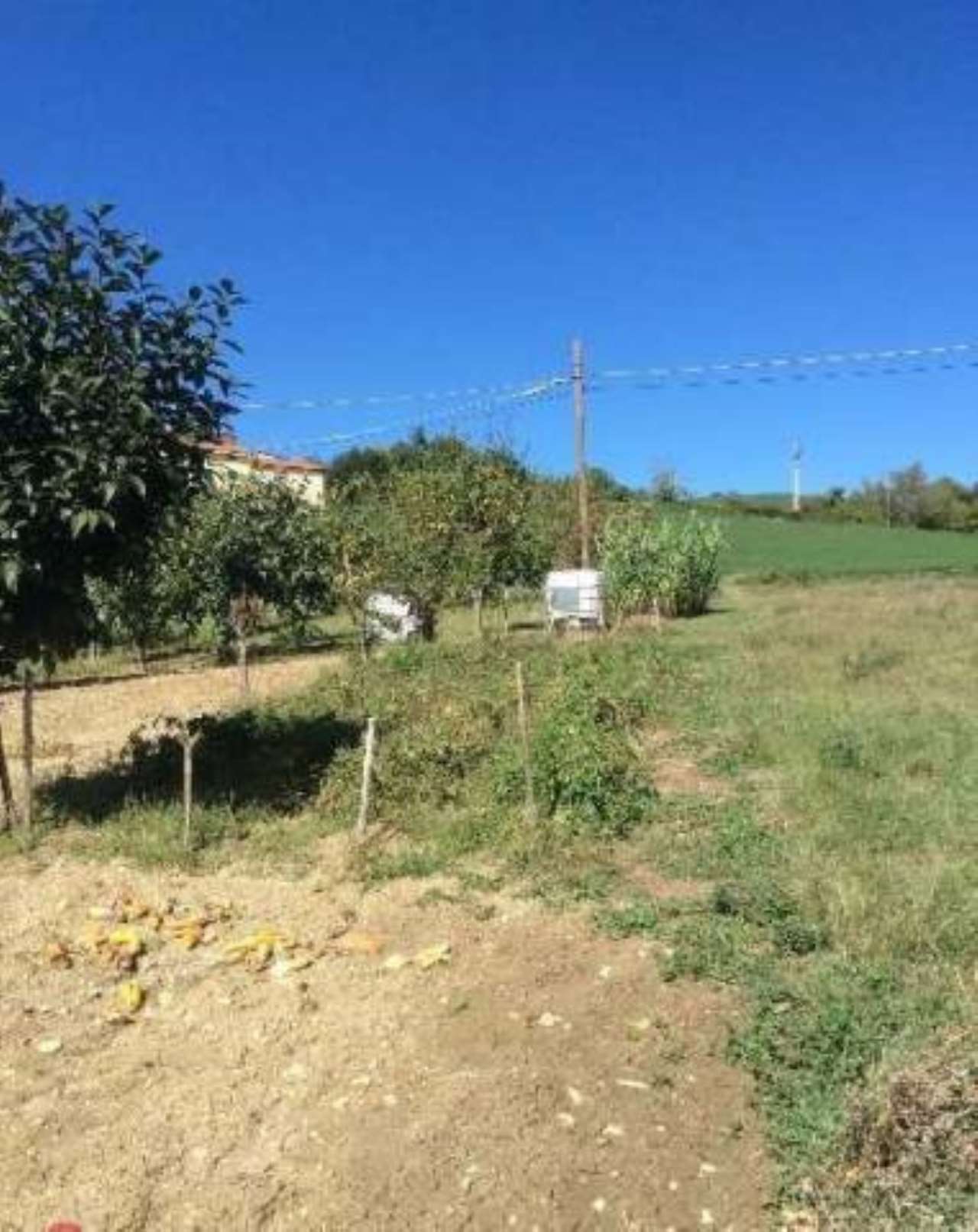 Villa Unifamiliare - Indipendente LUGAGNANO VAL D