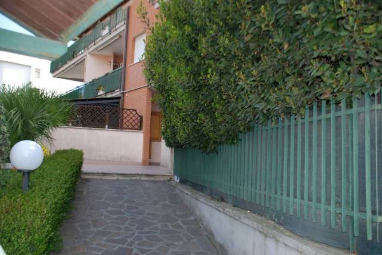 Appartamento ALBANO LAZIALE vendita   Gaetano Donizetti Gruppo Immobiliare Agenzia Laziale srl