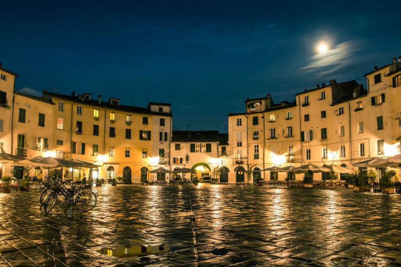 Stabile intero - Palazzo LUCCA vendita  ARSINA di Arsina Catelli Immobiliare